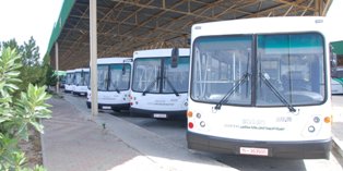 تعزيز أسطول الشركة بـ 10 حافلات جديدة